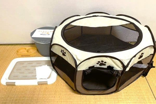 Pet-friendly plan