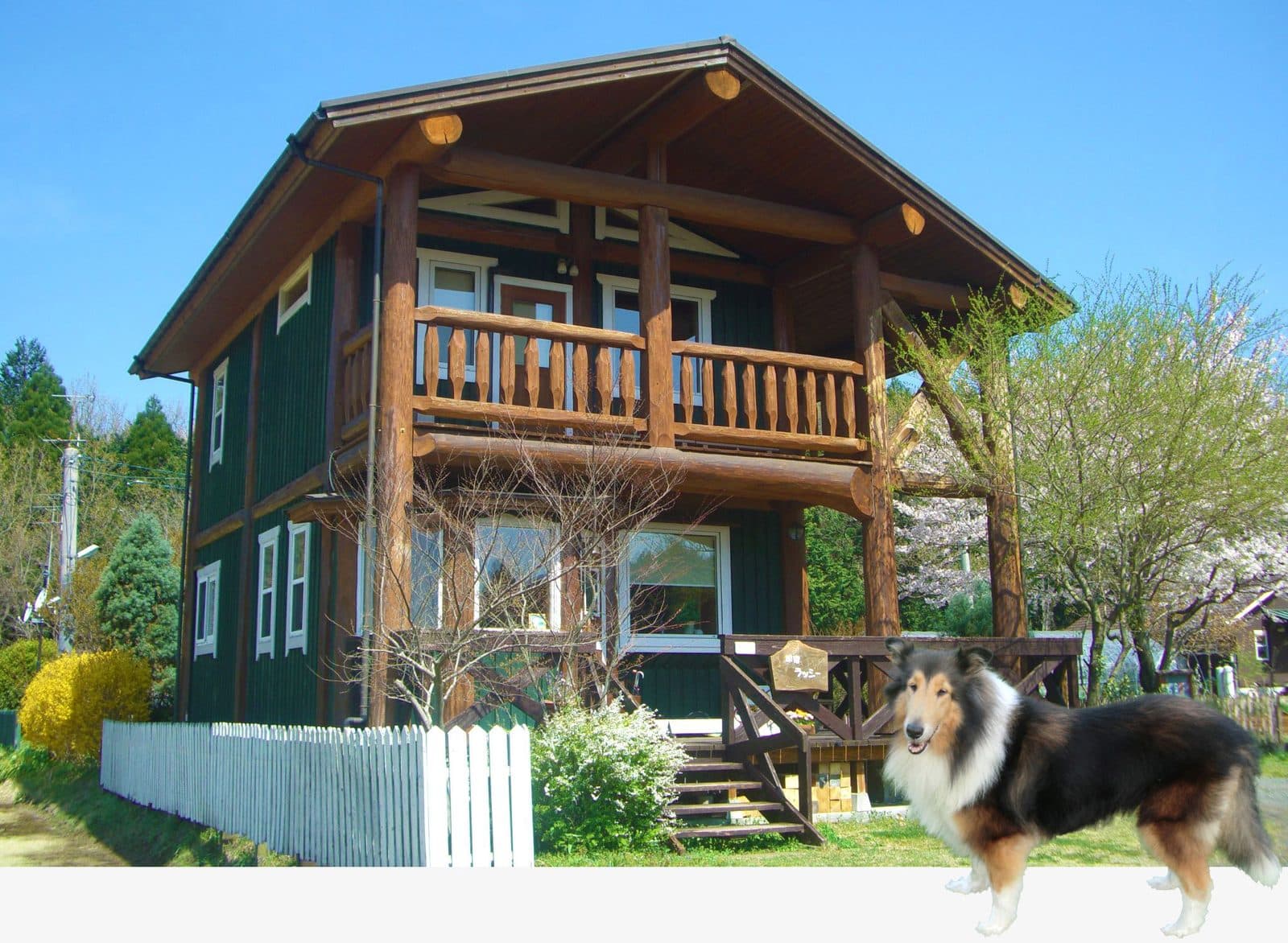 Whole house from 2 guests