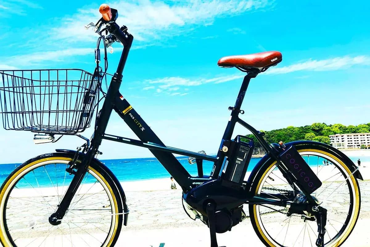 Electric-assist bicycles