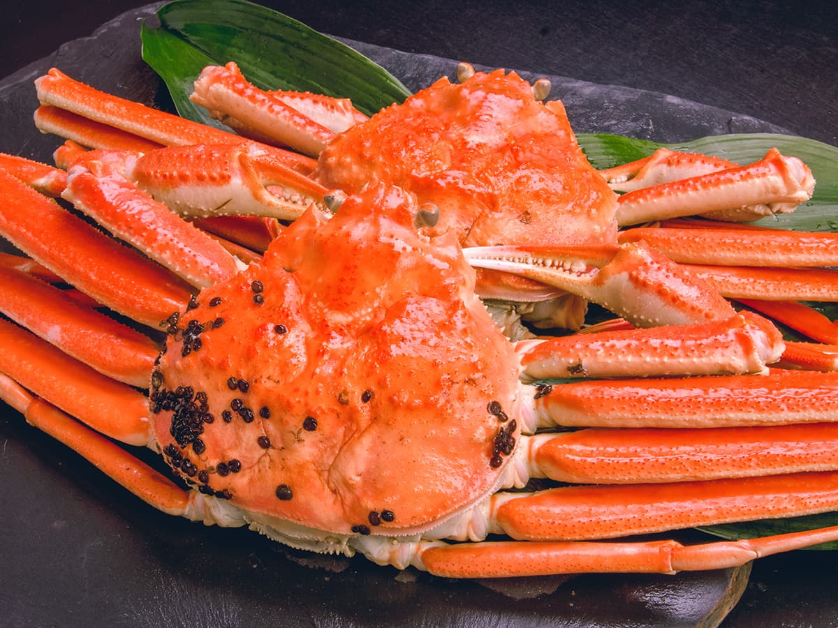 다마쓰쿠리 온천 다마쓰쿠리 그랜드 호텔 조세이카쿠 photo 6