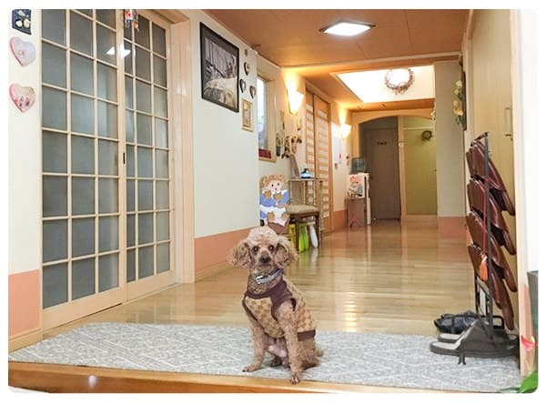 House Dog Ron and a Warm Welcome
