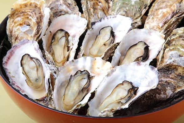 바닷가 온천 료칸 마루산 사진 2