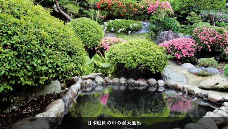 An Outdoor Bath Held by Forest