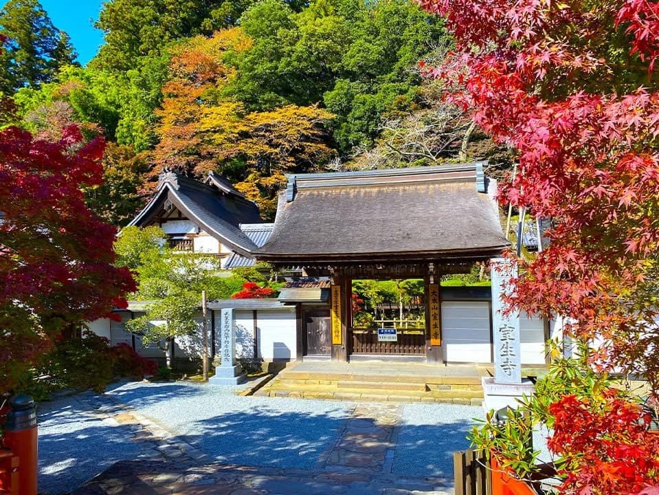 무로지와 용 전설의 명소