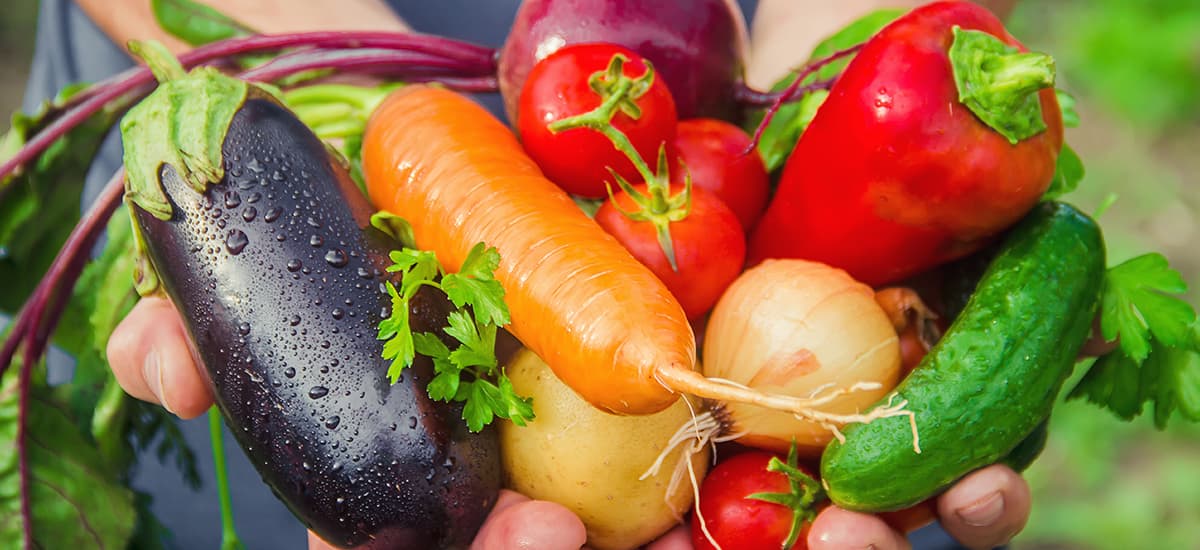 A Healthy Table to Start the Day