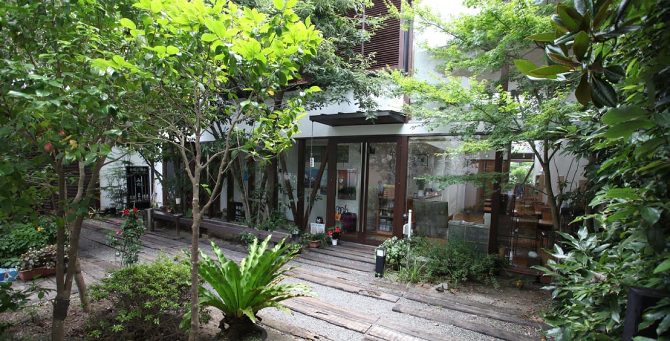 A Courtyard Bathed in Light