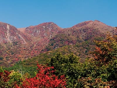 사계절 구주의 절경