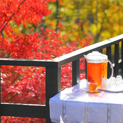 A Bar, a Lounge, and a Garden
