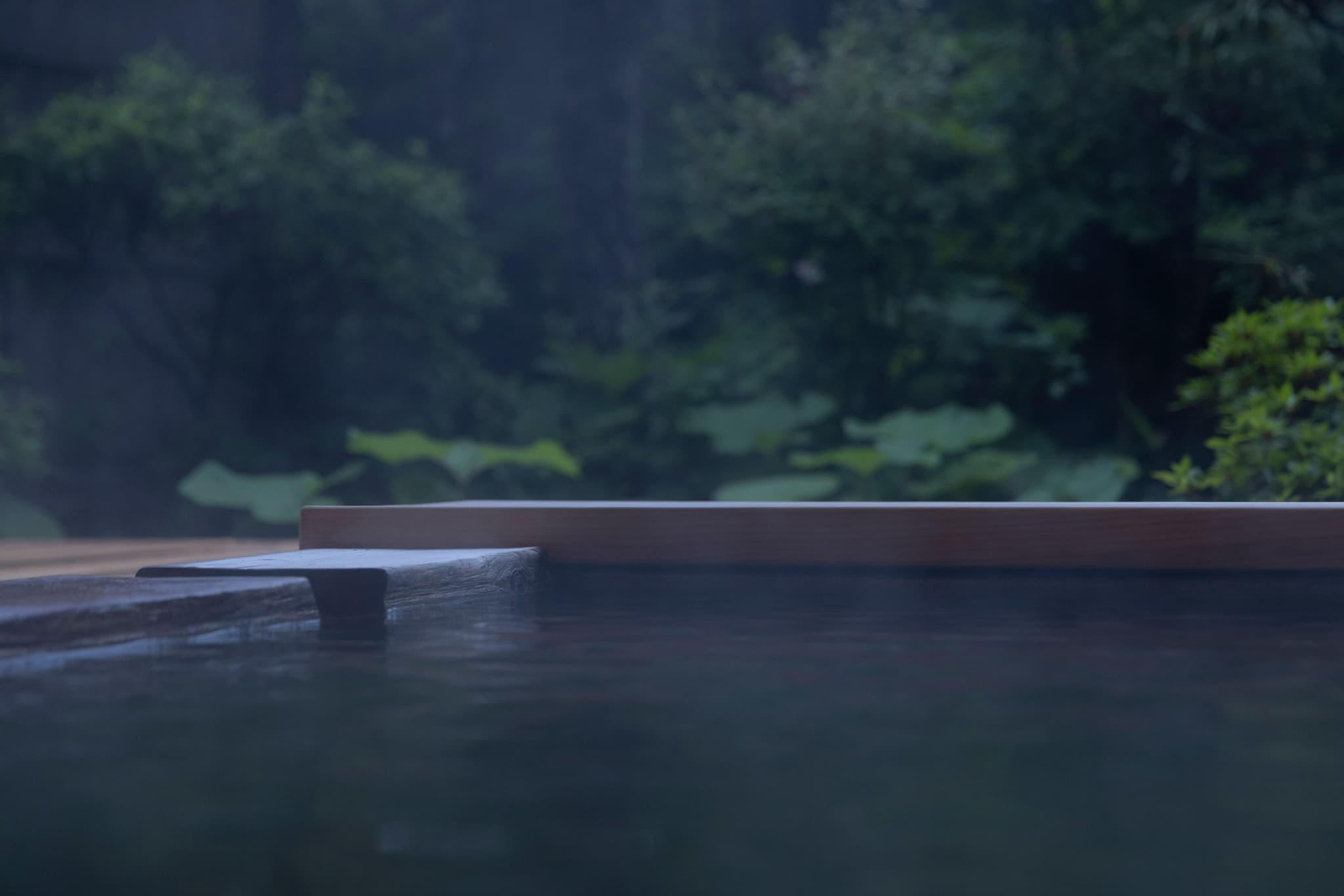 Spa Numakura