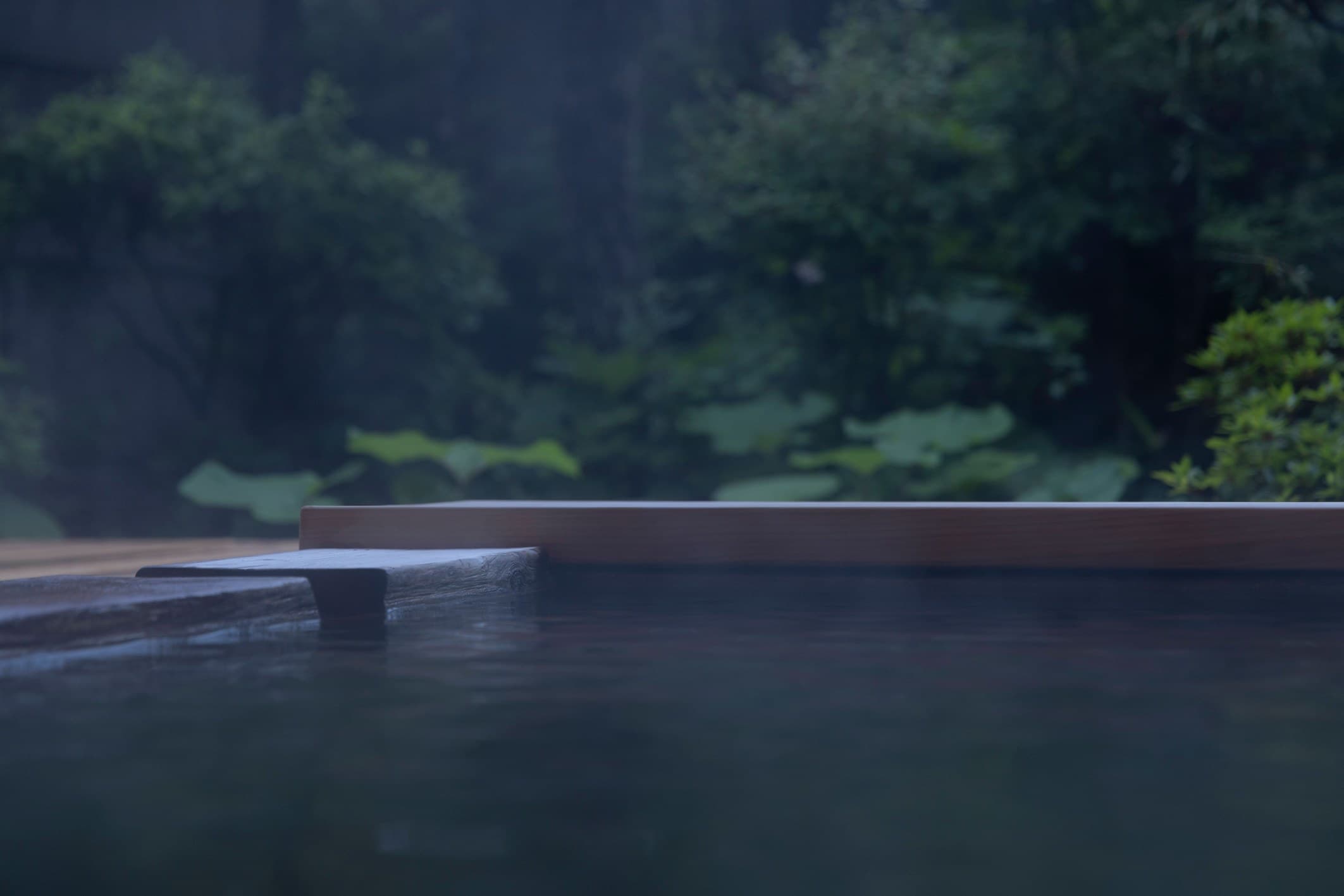 Spa Numakura