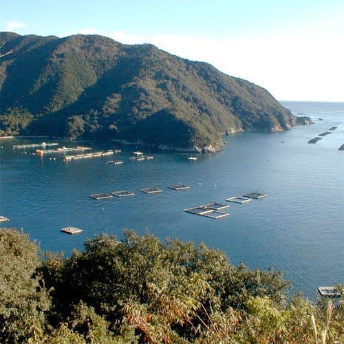 주변 명소와 교통