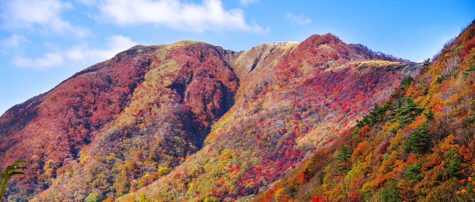 산베온센 사히메노 사진 7