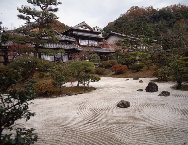 A Building Embraced by Scenic Nature
