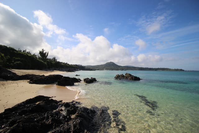 Sea and beach