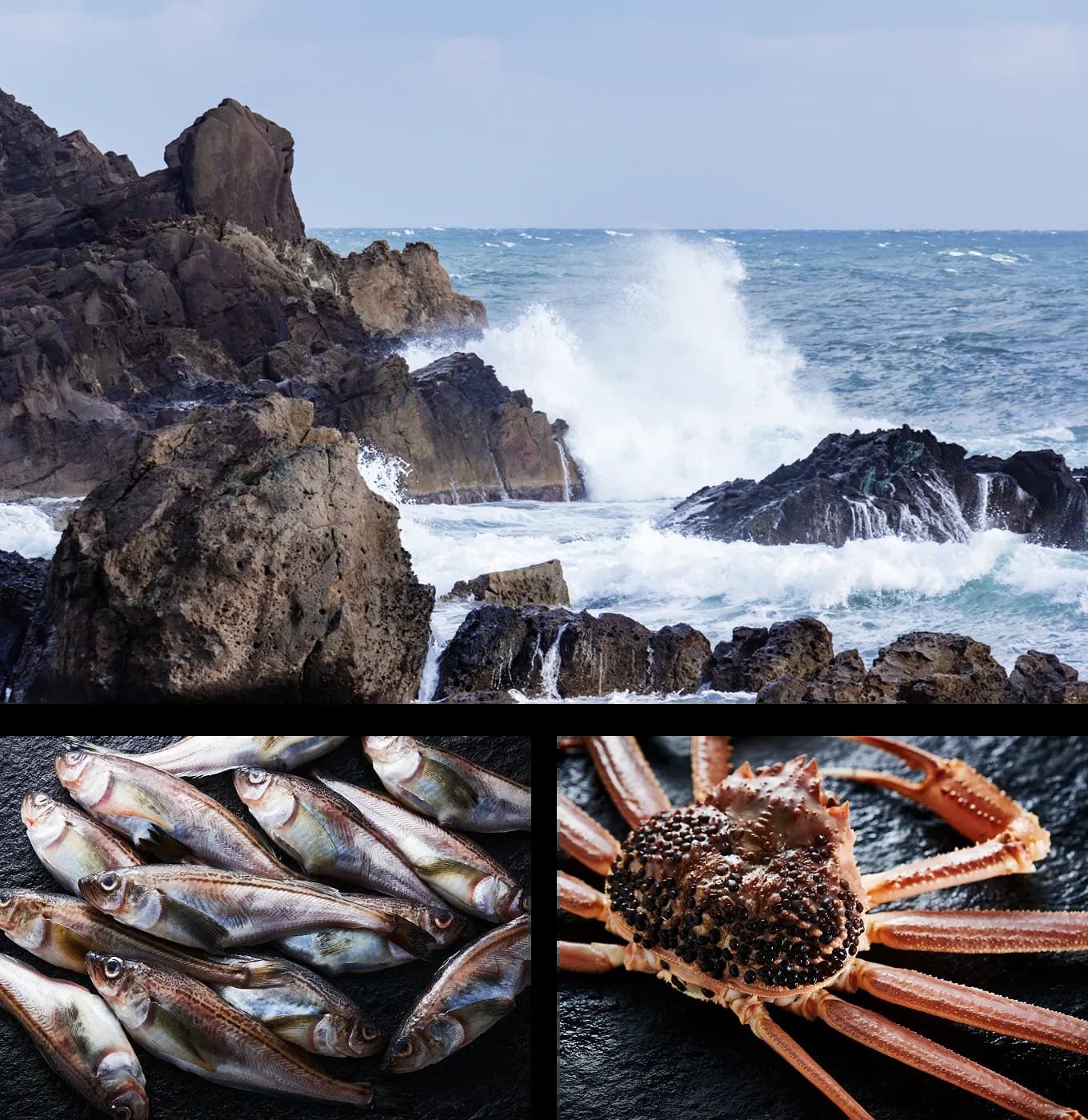 야마도 오가 photo 7