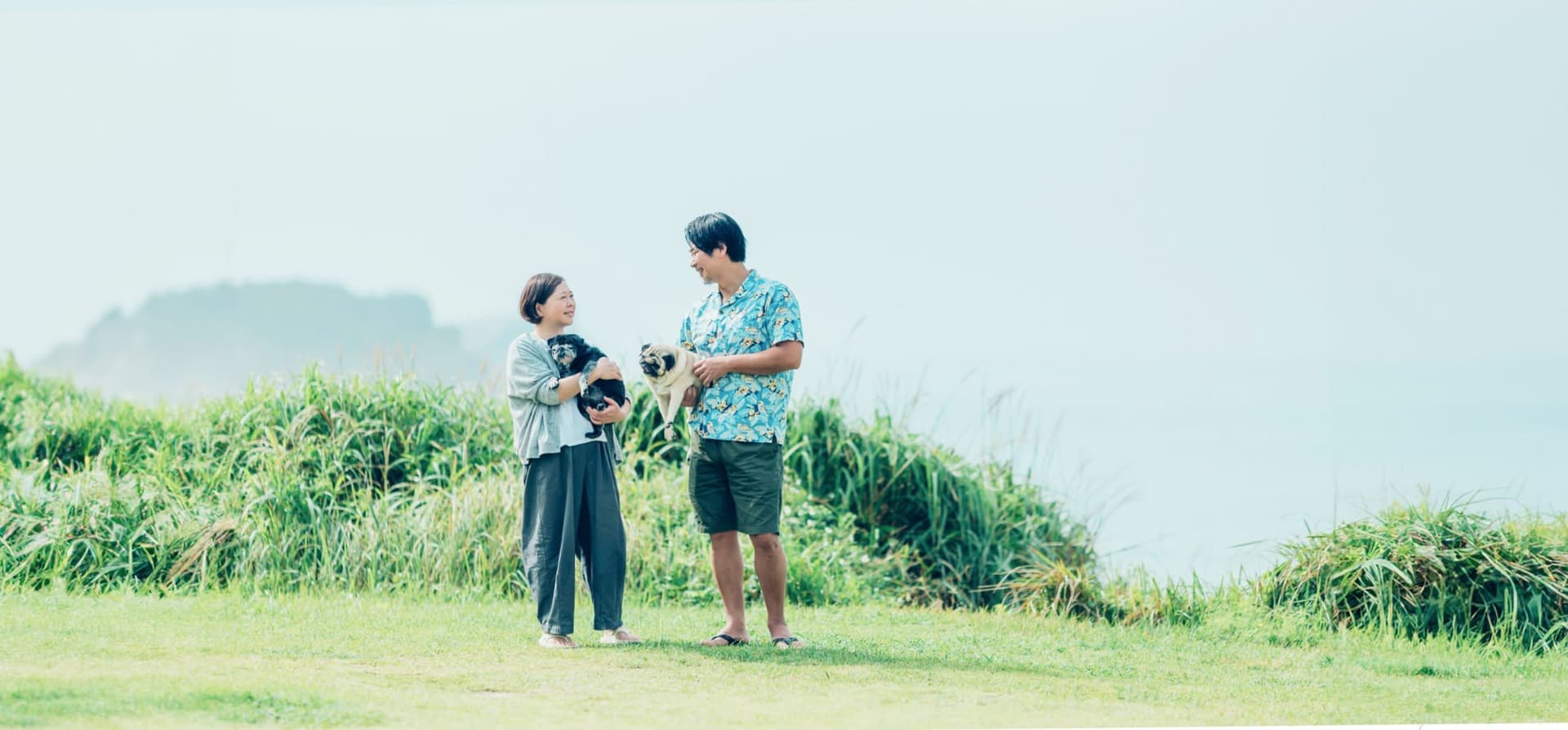 Island Experiences & Access