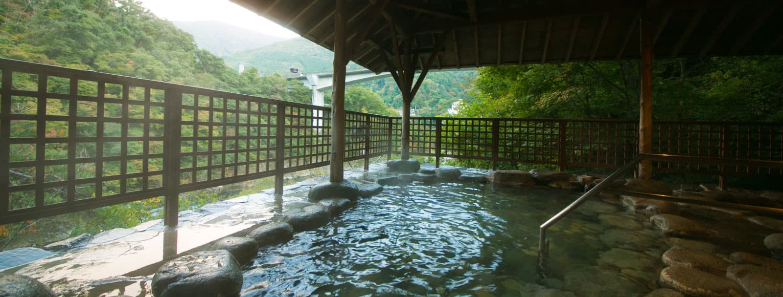 The Bath in the Air