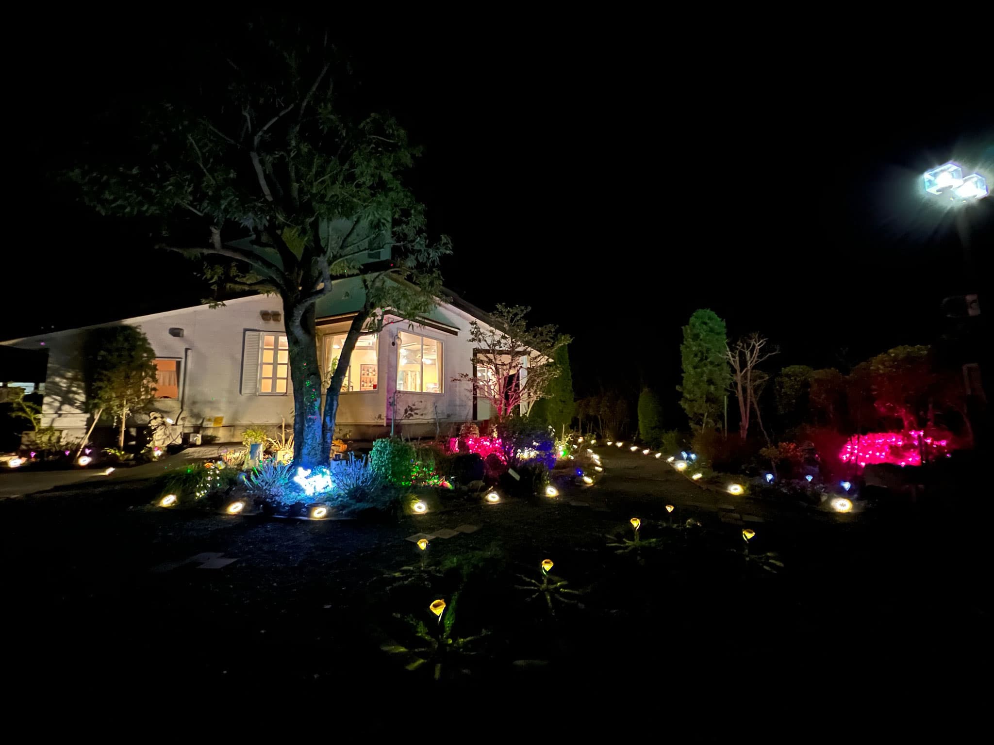 MISASA GARDEN HOTEL photo 8