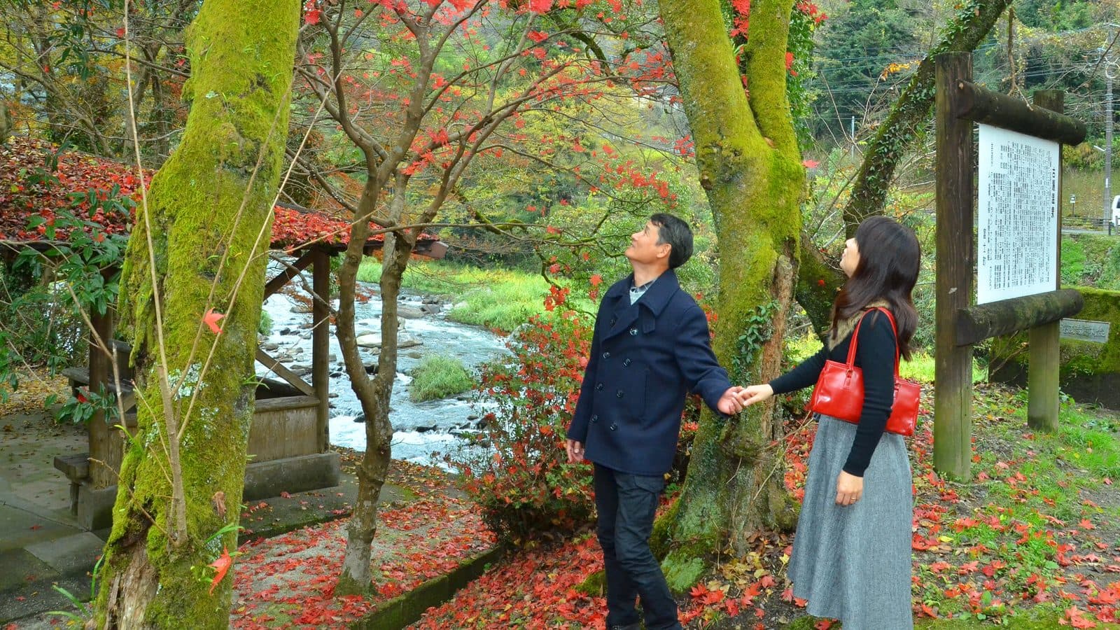 交通与周边景点