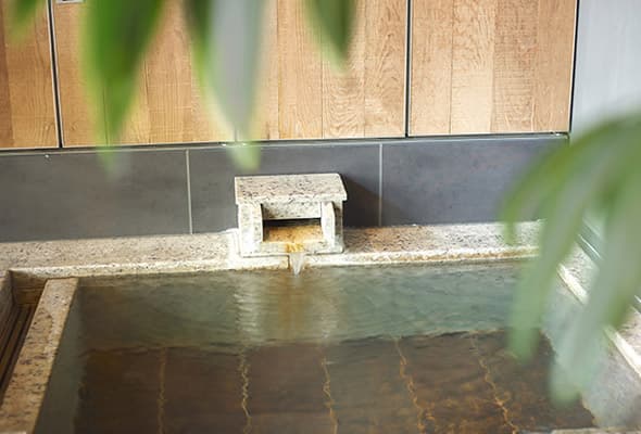 A Natural Hot Spring on Fuji Lava
