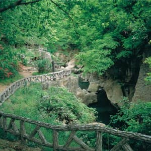 아키우 온센 사료소엔 photo 7
