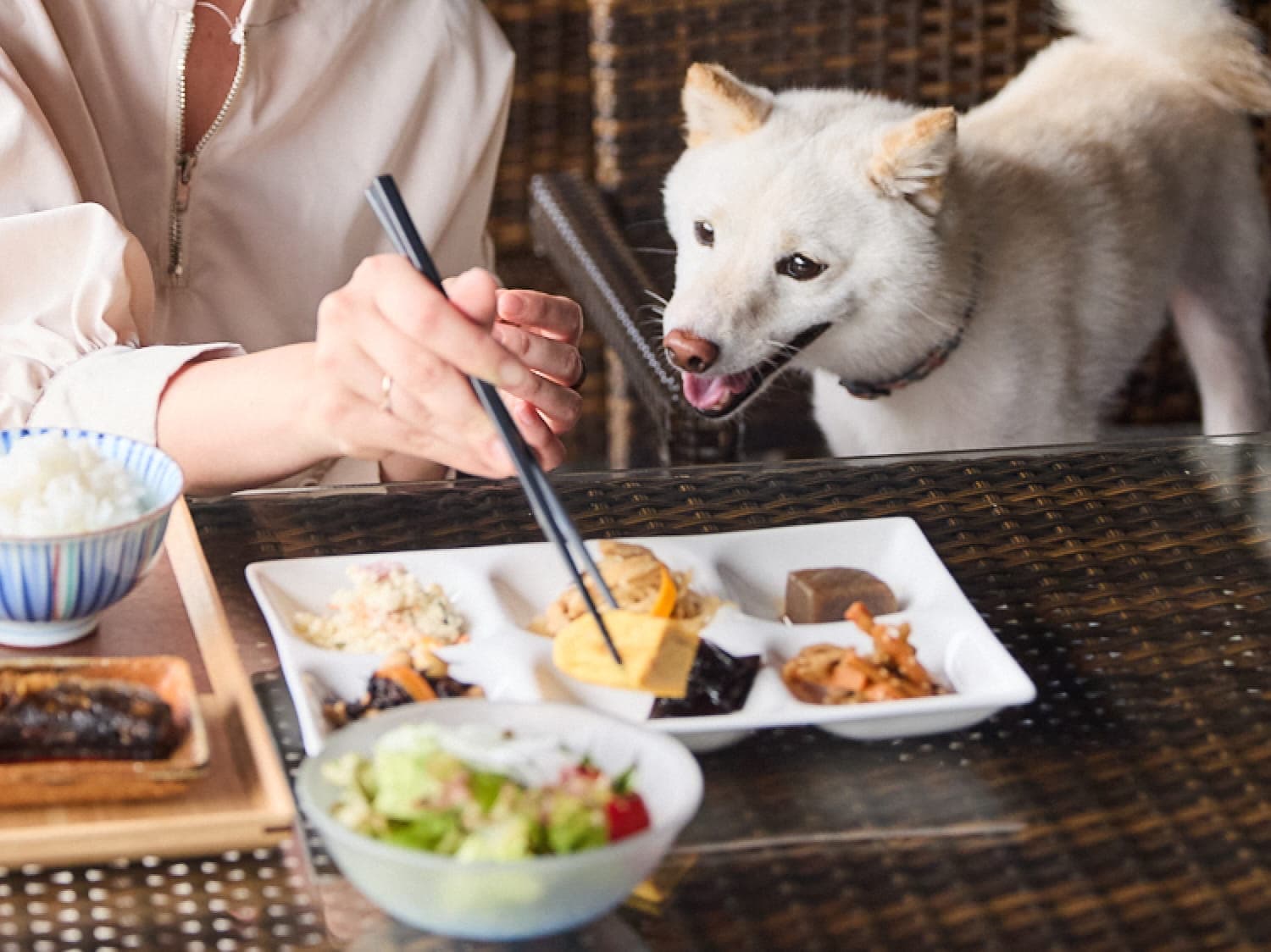 유후인 온천 에노키야 료칸 사진 4