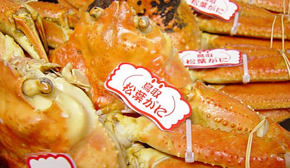 겨울이면 마츠바가니