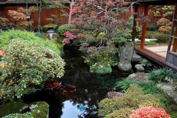 A Japanese Garden, Viewed From Your Room