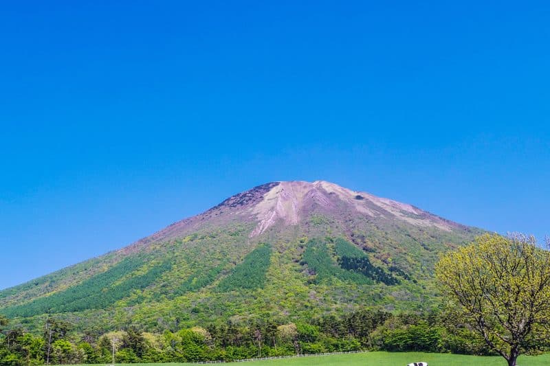 大山·米子观光据点