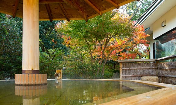 A Garden Set in Nature, Through All Four Seasons