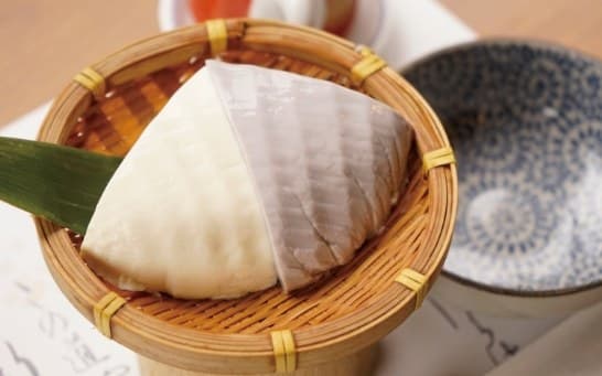 The Owner's Handmade Tofu