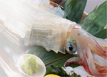 명물 오징어 활어회