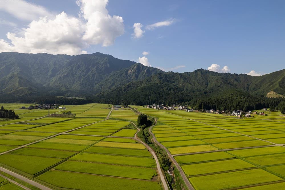 A Quiet Spot Amid Pastoral Scenery