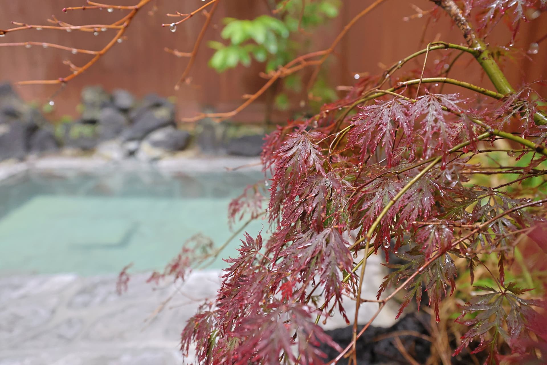 Kusatsu Onsen Juniya Ryokan 사진 3