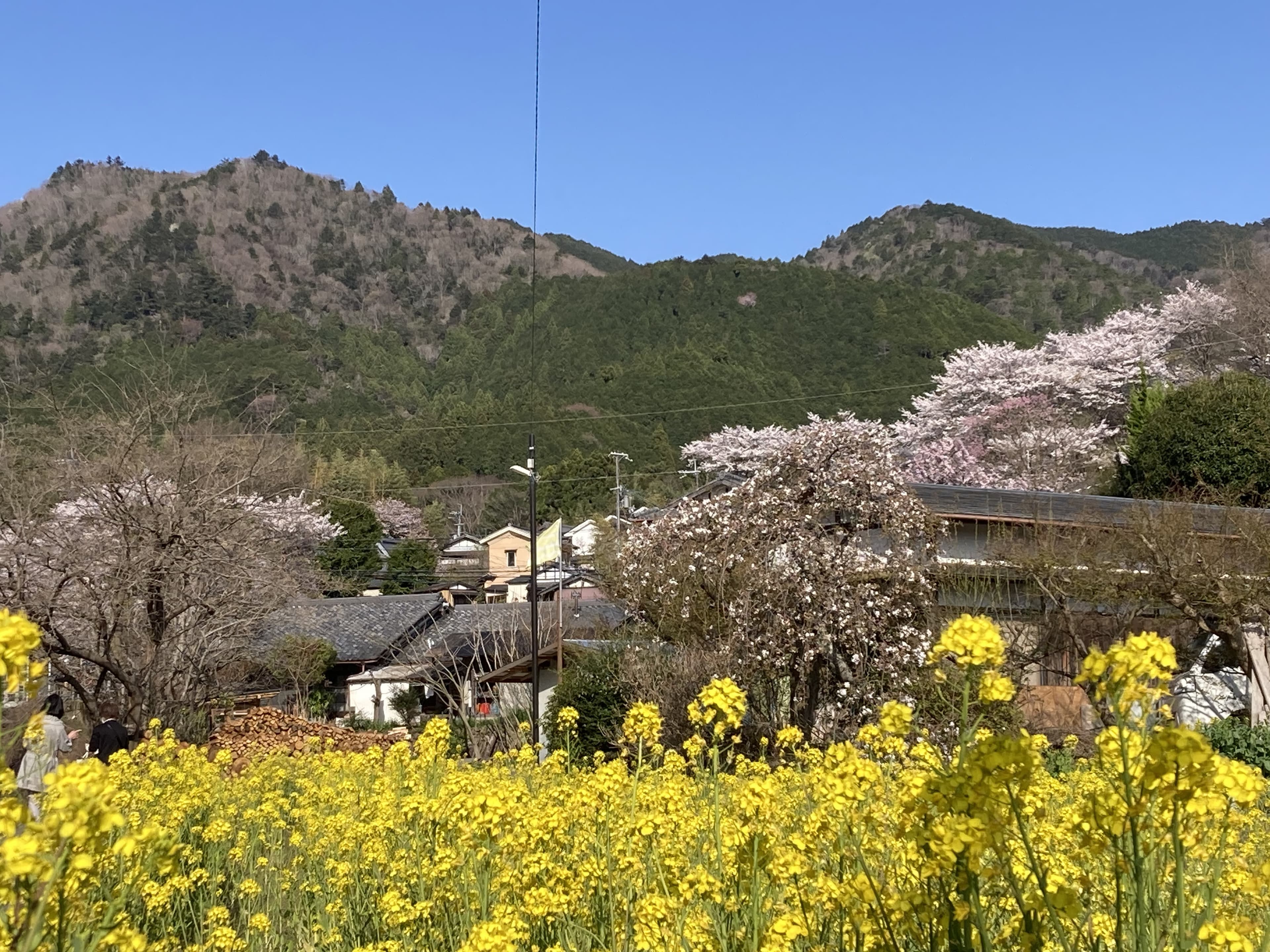 료소 자타니 사진 31