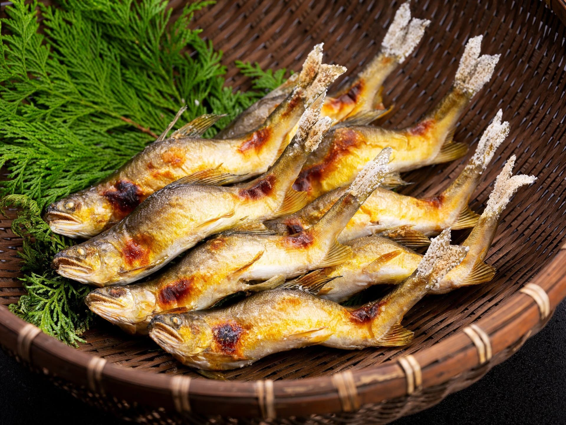 One Fish, the Pride of Ayu Country