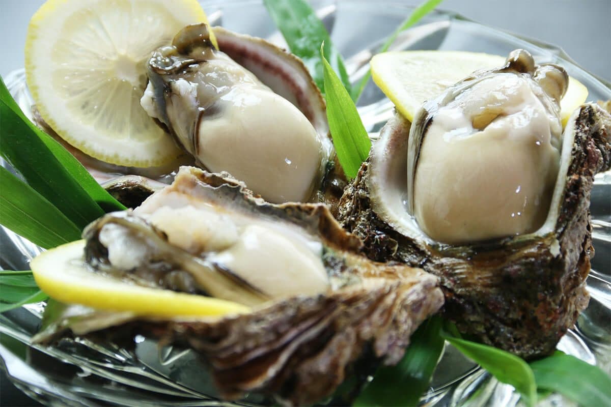 봄·여름·가을의 바다 맛