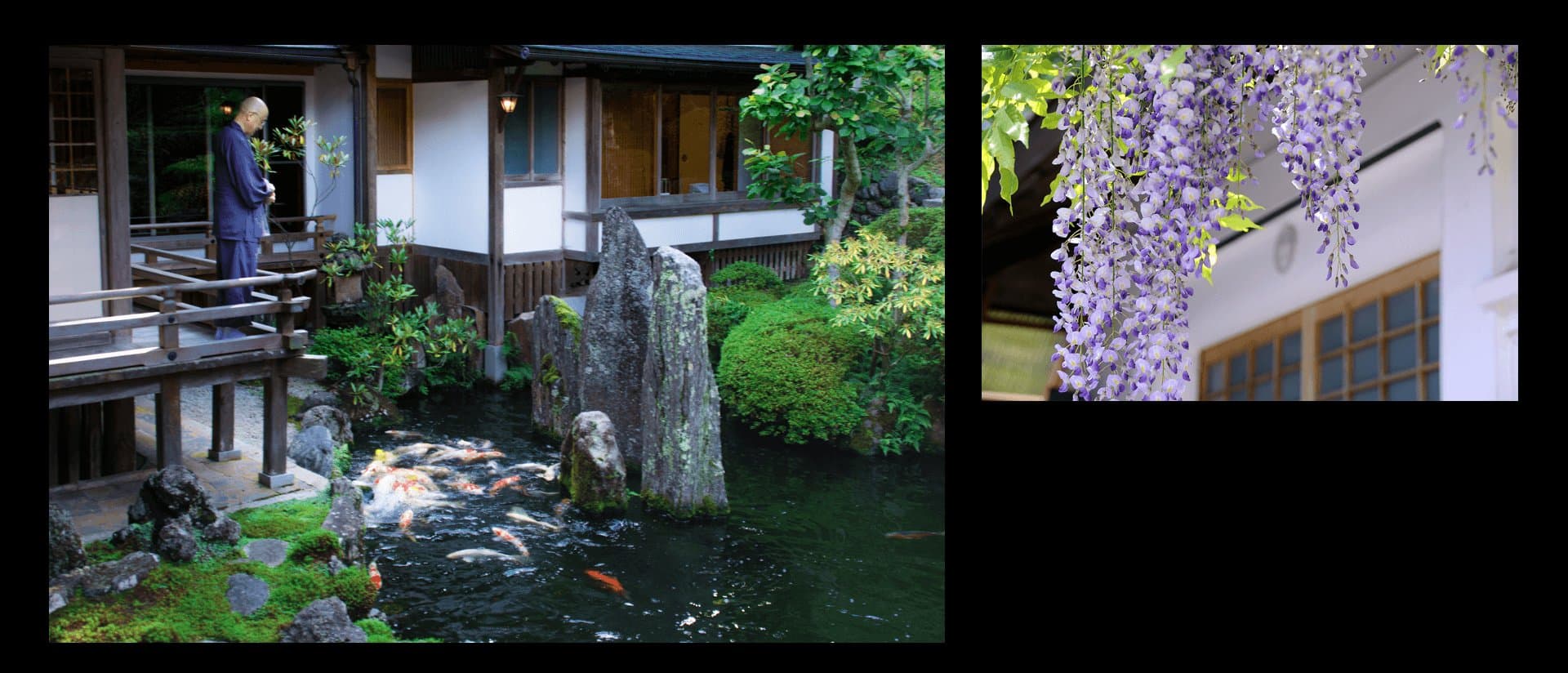 Garden and Art