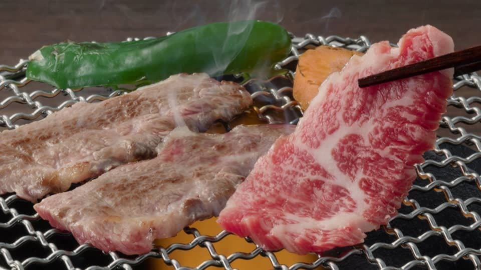 후토키 사진 6