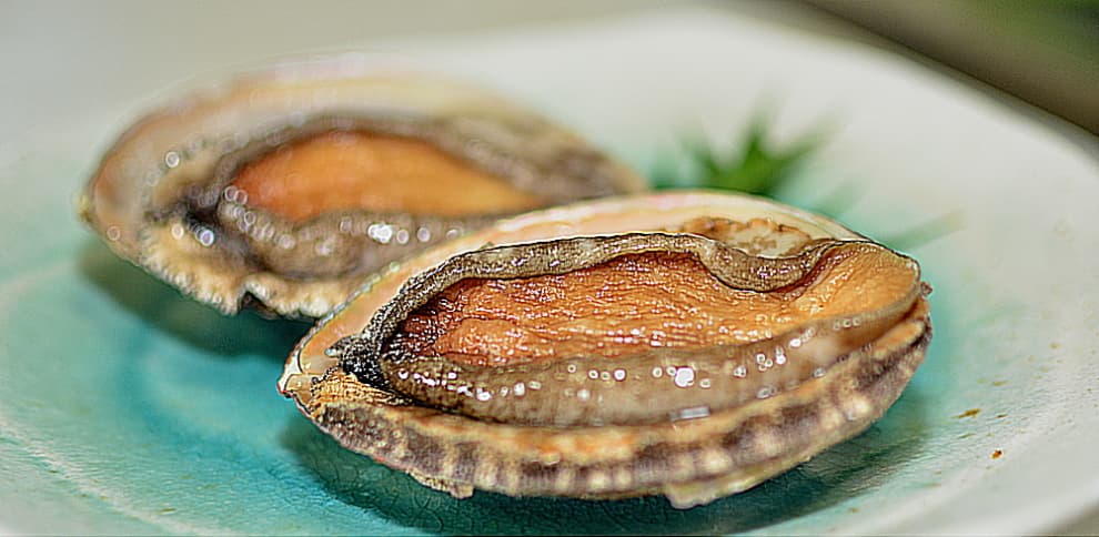 주인장 오마카세, 이세시마 해산물 코스