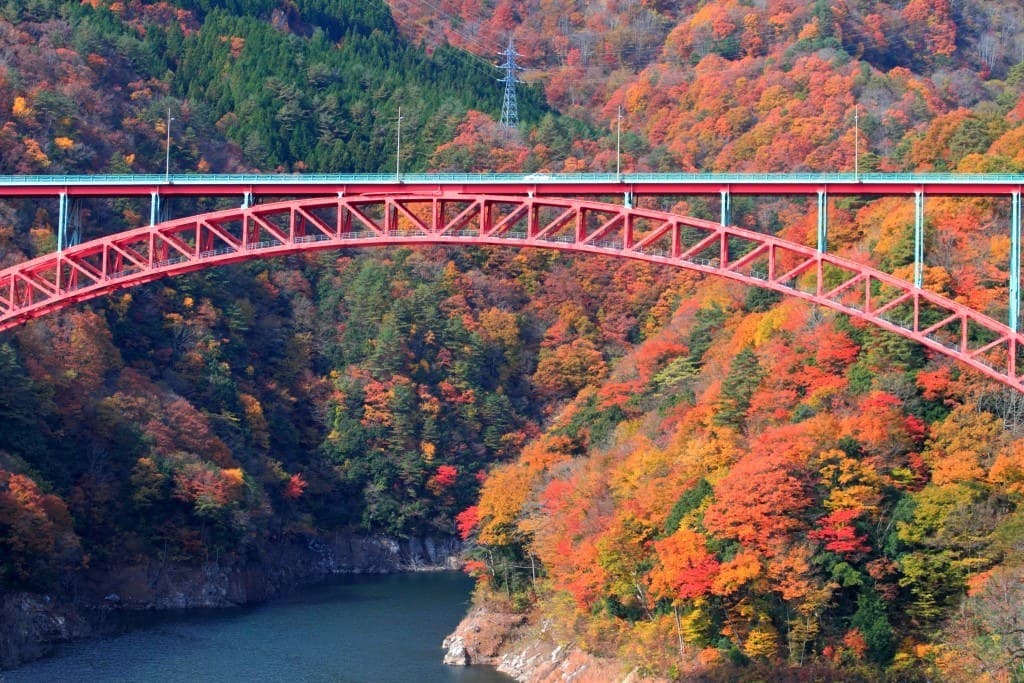 글로벌 리조트 누쿠이 photo 6