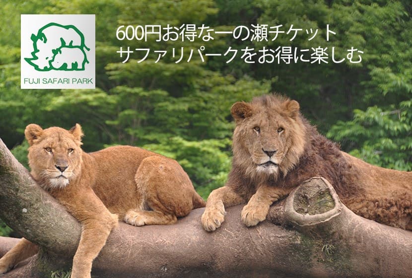 후지 사파리파크로 가는 자연 거점