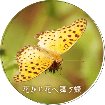 Shizuoka Prefectural Forest Park Mori-no-Ie Lodge 사진 4