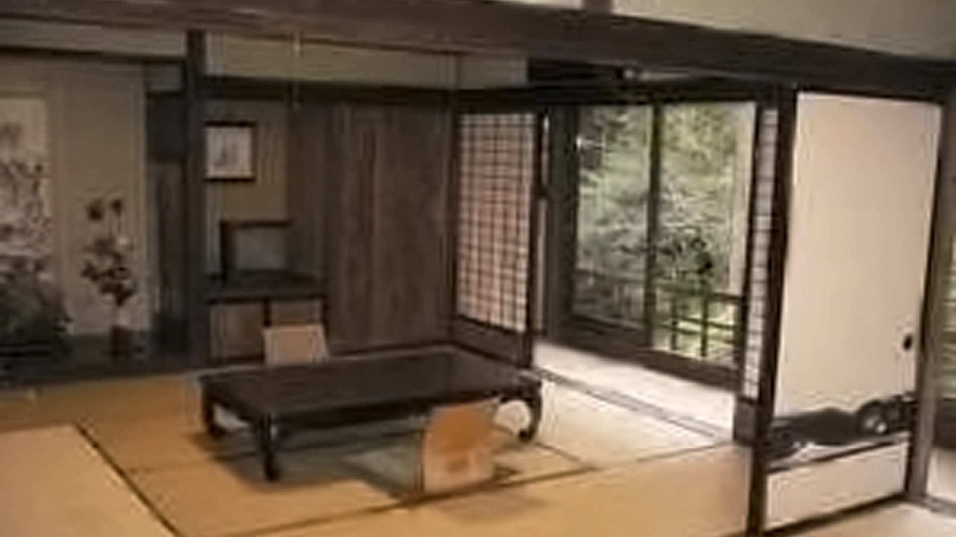 쇼킨칸