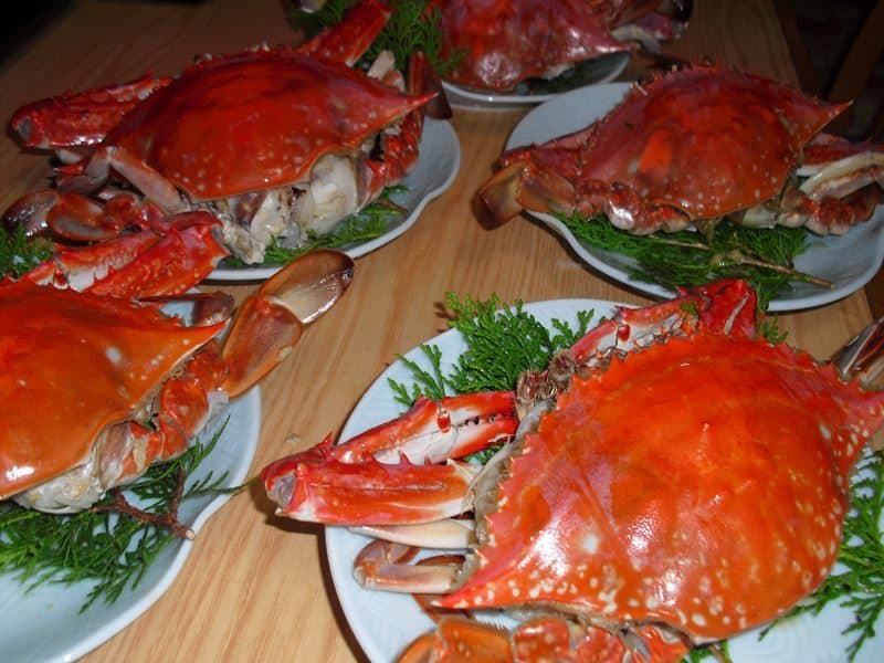 후쿠오카야 료칸 사진 5