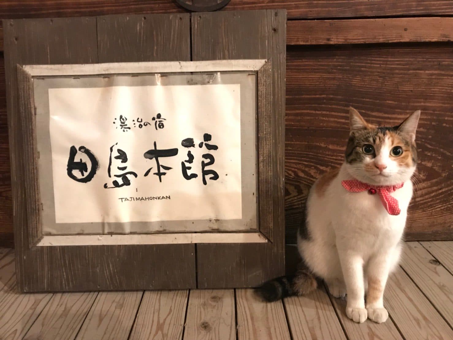 묘켄 온천 다지마 혼칸 사진 6