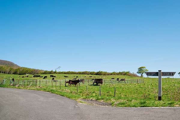 The road to the Inaniwa highlands