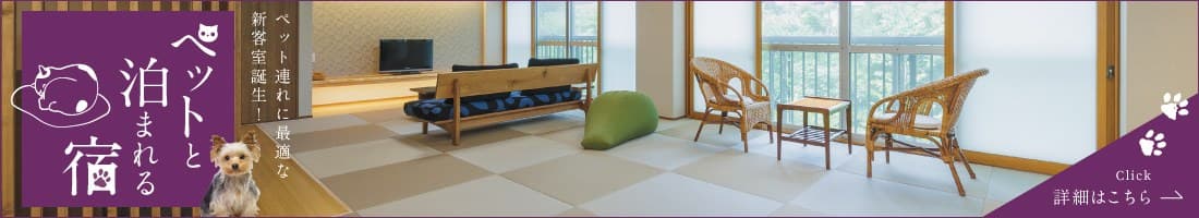 Rooms That Welcome Your Dog