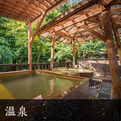 An Hour From Morioka, Free Shuttle