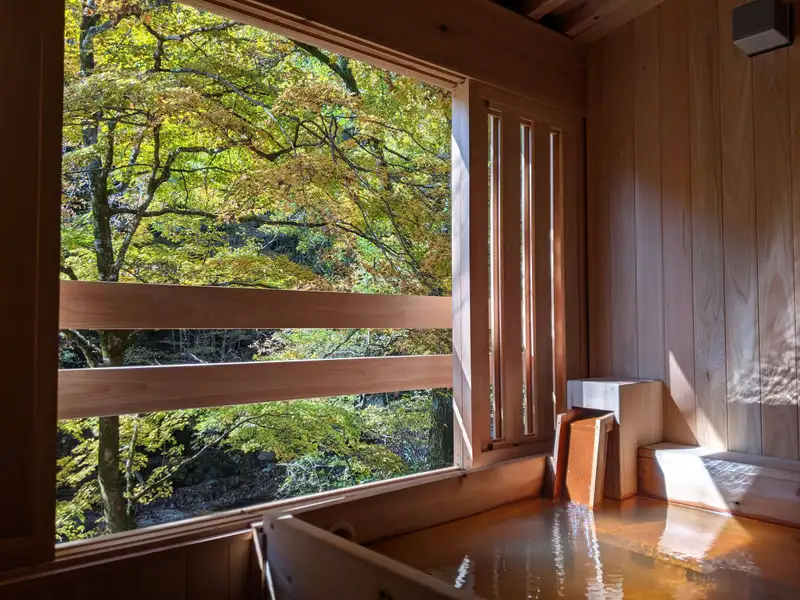 Private and Open-Air Baths Facing the Forest